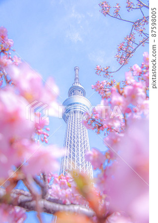 東京天空樹和櫻花 87598005