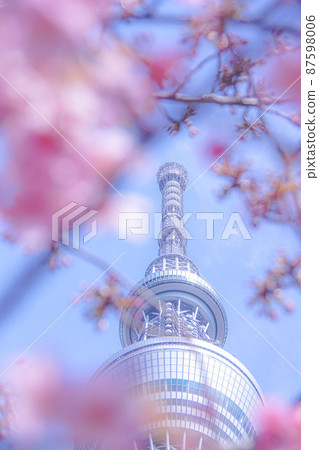 東京天空樹和櫻花 東京天空樹和櫻花 87598006