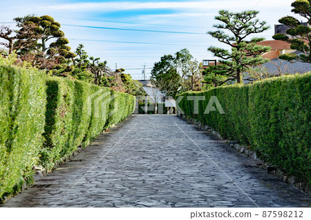 Castle Guard Residences 87598212