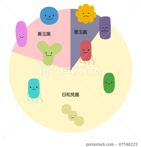 矢量圖(白色背景,剪裁)顯示腸道細菌(好細菌、壞細菌、機會細菌)的比例 矢量圖(白色背景,剪裁)顯示腸道細菌(好細菌、壞細菌、機會細菌)的比例 87598225