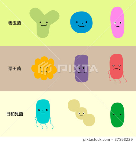 腸道細菌的病媒圖解集(好細菌、壞細菌、機會性細菌) 腸道細菌的病媒圖解集(好細菌、壞細菌、機會性細菌) 87598229