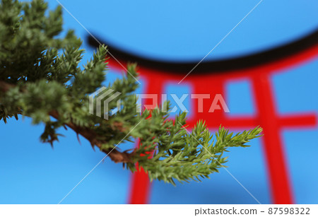 Bonsai Tree and Torii Gate Close up Shallow DOF Bonsai Tree and Torii Gate Close up Shallow DOF 87598322
