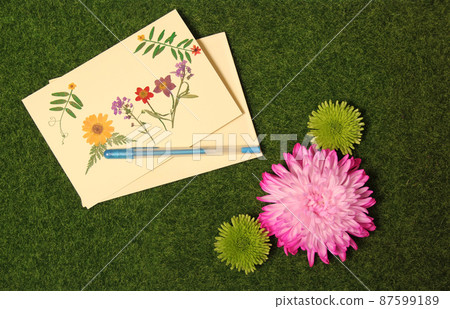 Flowers on Artificial Grass With Blank Greeting Card Decorated With Dried Flowers 87599189