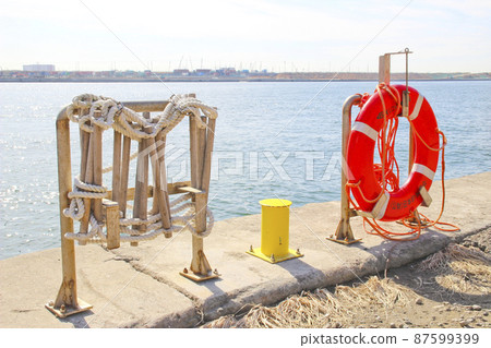 Life buoy and life ladder 87599399