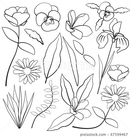 Pansy Iris Plumeria Daisy Leaf Flower Floral Silhouette Outline Line Element 87599467