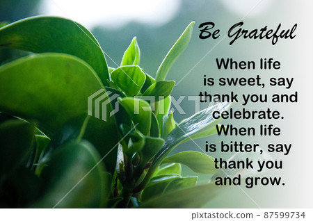 Motivational and inspirational quote - When life is sweet, say thank you and celebrate. When life is bitter, say thank you and grow. Motivational concept 87599734
