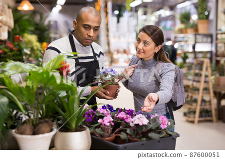 Shop assistant helping woman to choose geranium in flower shop Shop assistant helping woman to choose geranium in flower shop 87600051