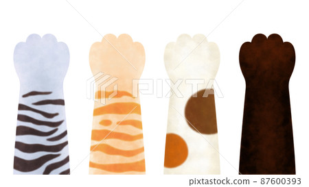 Textured cat's hand 87600393