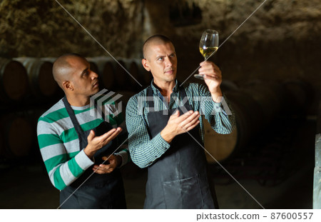 Vintners inspecting quality of white wine in winery cellar 87600557