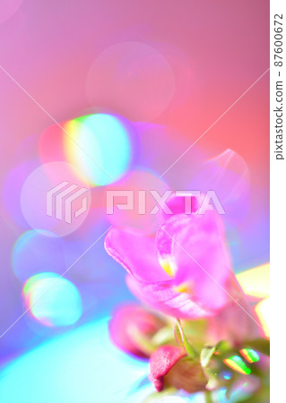 夢幻般的發光光和粉紅色的花朵 87600672