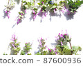 Henbit background frame 87600936