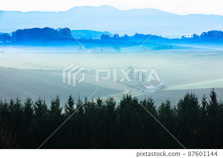 [Hokkaido, Biei] Awakening Shinei-no-Oka October 87601144