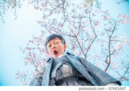 Sakura and boy seen from below 87601687