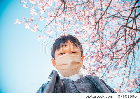 面具和櫻花的男孩 面具和櫻花的男孩 87601690