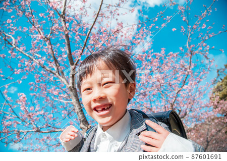 藍天、櫻花和男孩 藍天、櫻花和男孩 87601691