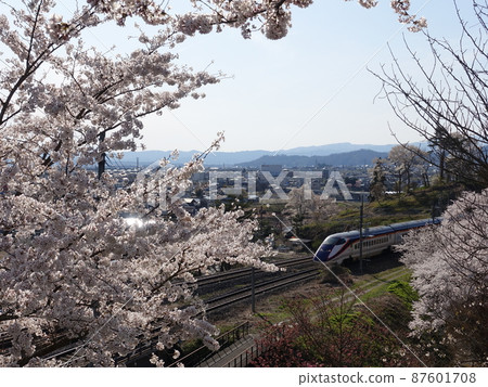 Sakura Express SAKURA EXPRESS Yamagata Shinkansen Tsubasa 87601708