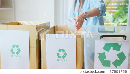 woman is recycling at home 87601766