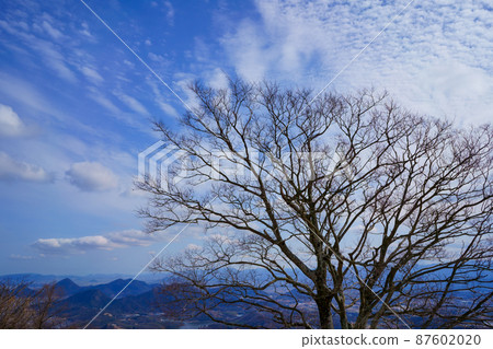 Winter sky and Taiki (Shiroyama, Sakaide City, Kagawa Prefecture) Winter sky and Taiki (Shiroyama, Sakaide City, Kagawa Prefecture) 87602020