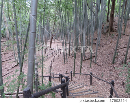 Kozukue Castle Ruins in Yokohama City, Kanagawa Prefecture 87602234