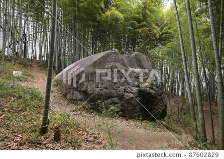 增田岩船（奈良縣橿原市） 87602829