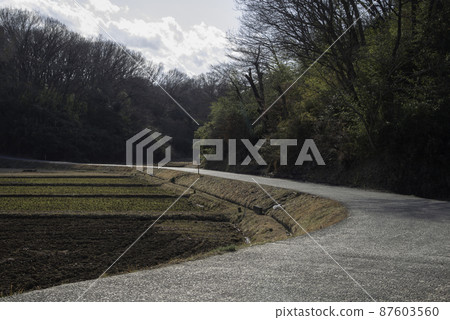 冬季稻田彎曲的道路 87603560