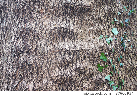 Bark material background Bark material background 87603934