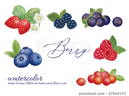 Watercolor handwritten berry set Watercolor handwritten berry set 87604155