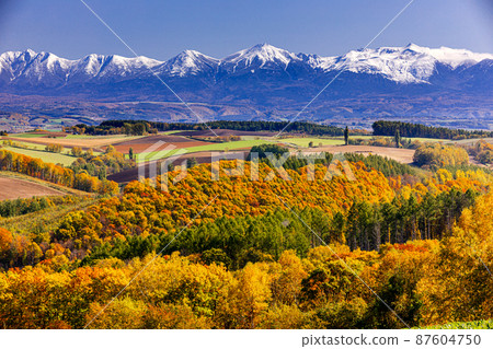 [Hokkaido / Biei] Biei Hill and Daisetsuzan National Park October 87604750