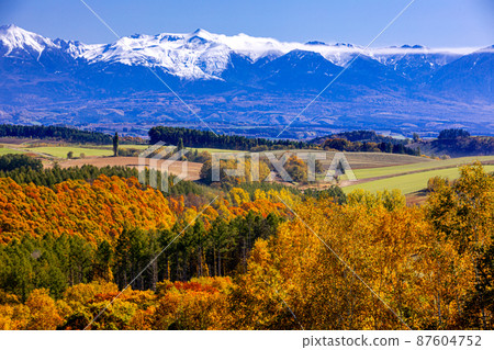 [北海道/美瑛]美瑛山和大雪山國立公園十月 87604752