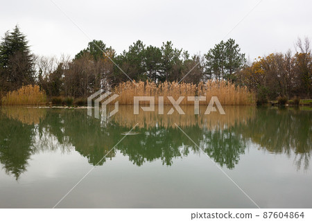 view of a mountain lake surrounded by bushes and trees in autumn view of a mountain lake surrounded by bushes and trees in autumn 87604864
