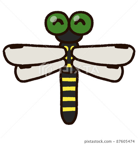 可愛的 Anotogaster 蜻蜓 87605474