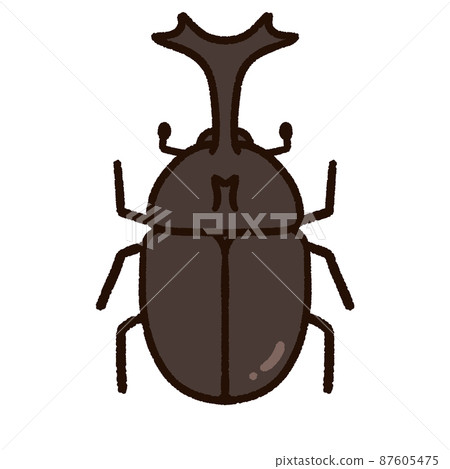 可愛的甲蟲 87605475
