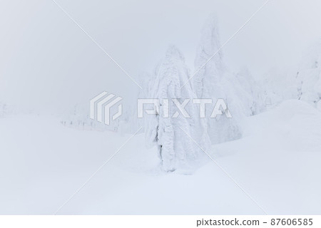 Whiteout Yamagata Zao Rime和山頂附近的滑雪場 Whiteout Yamagata Zao Rime和山頂附近的滑雪場 87606585