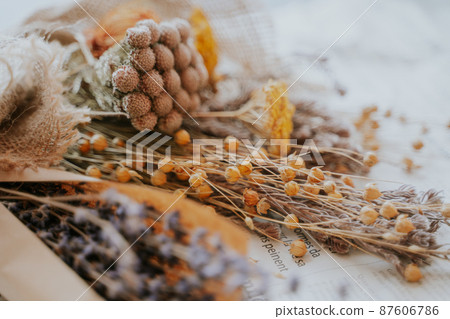 Dried flower vintage style Dried flower vintage style 87606786
