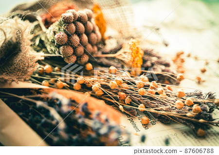 Dried flower vintage style Dried flower vintage style 87606788