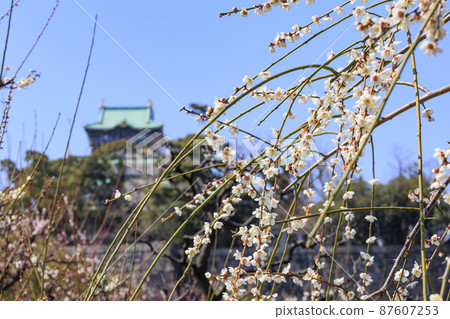 Osaka Castle 87607253