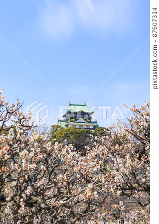 Osaka Castle Osaka Castle 87607314