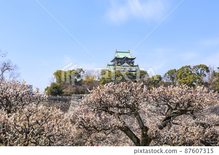 Osaka Castle 87607315