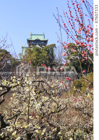 Osaka Castle Osaka Castle 87607333