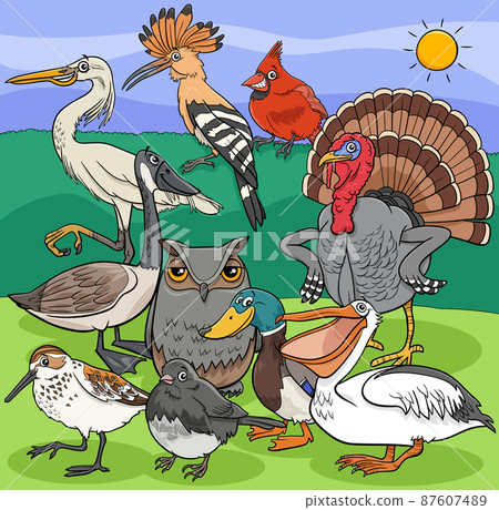 cartoon birds animal comic characters group cartoon birds animal comic characters group 87607489