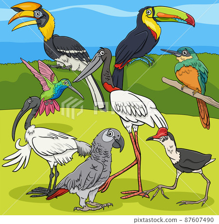 birds animal characters group cartoon illustration birds animal characters group cartoon illustration 87607490