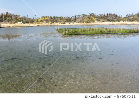 Scenery from Matsukawaura Pier Seaweed farming shelf Soma City, Fukushima Prefecture 87607511
