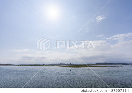 福島縣相馬市松川浦碼頭海藻養殖架的風景 福島縣相馬市松川浦碼頭海藻養殖架的風景 87607514