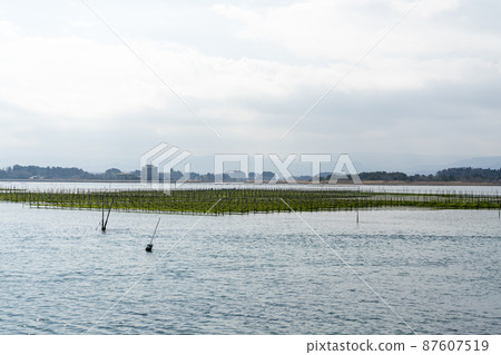 Scenery from Matsukawaura Pier Seaweed farming shelf Soma City, Fukushima Prefecture 87607519