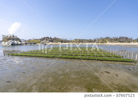 Scenery from Matsukawaura Pier Seaweed farming shelf Soma City, Fukushima Prefecture 87607523