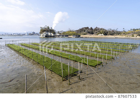 Scenery from Matsukawaura Pier Seaweed farming shelf Soma City, Fukushima Prefecture 87607533
