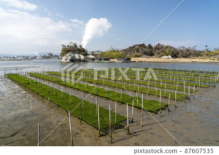 福島縣相馬市松川浦碼頭海藻養殖架的風景 87607535
