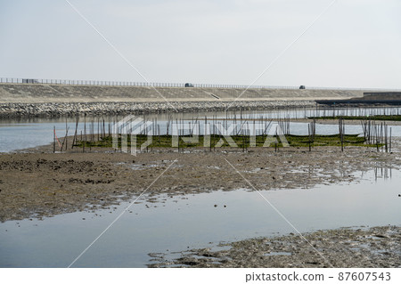 Scenery from Matsukawaura Pier Seaweed farming shelf Soma City, Fukushima Prefecture 87607543