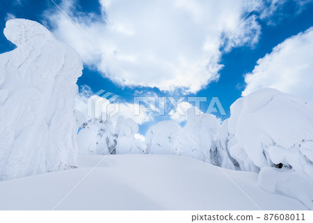 Yamagata Zao's white silver world rime Yamagata Zao's white silver world rime 87608011