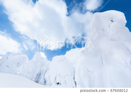 Yamagata Zao's white silver world rime Yamagata Zao's white silver world rime 87608012